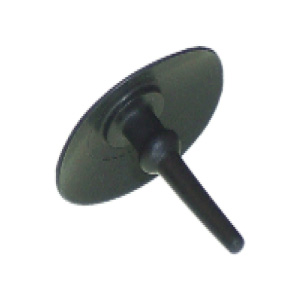 V229813000